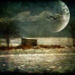 DSC_0589_tonemappedimgnomNikMoonStarsCloudsBirdsTxtrsLvlsNMESmWt