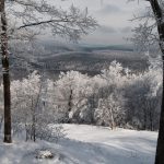 _DSC9394CmRwMltpVvzNmeCmRwImgnVvzBlndWCmRw